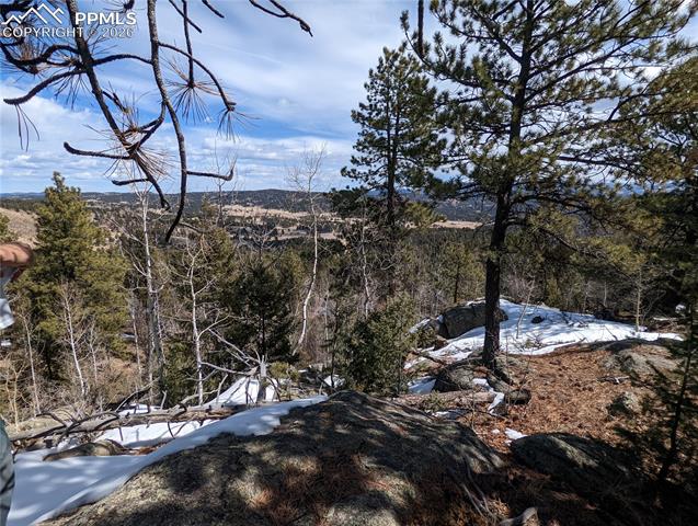 Photo 9 of 1620 Park Ridge Drive, Guffey