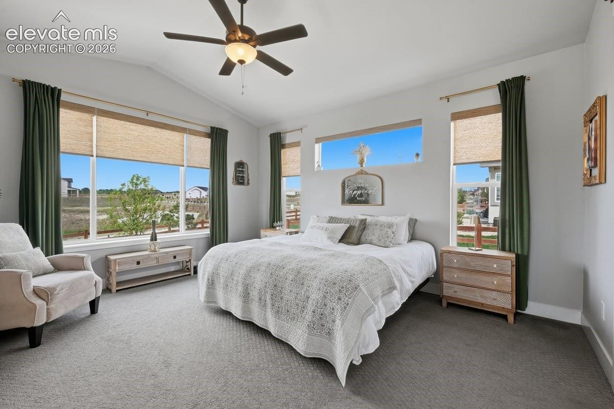 Photo 20 of 9952 Antelope Ravine Drive, Colorado Springs
