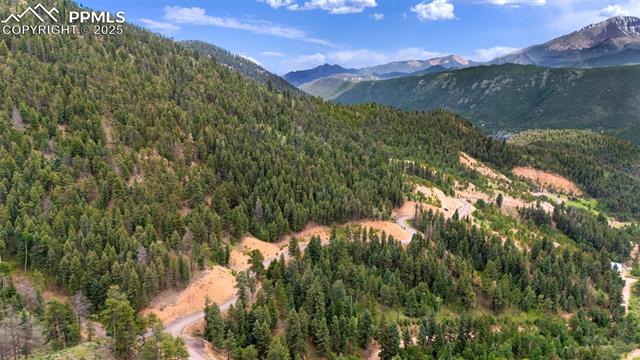 View of mountain backdrop featuring a heavily wooded area