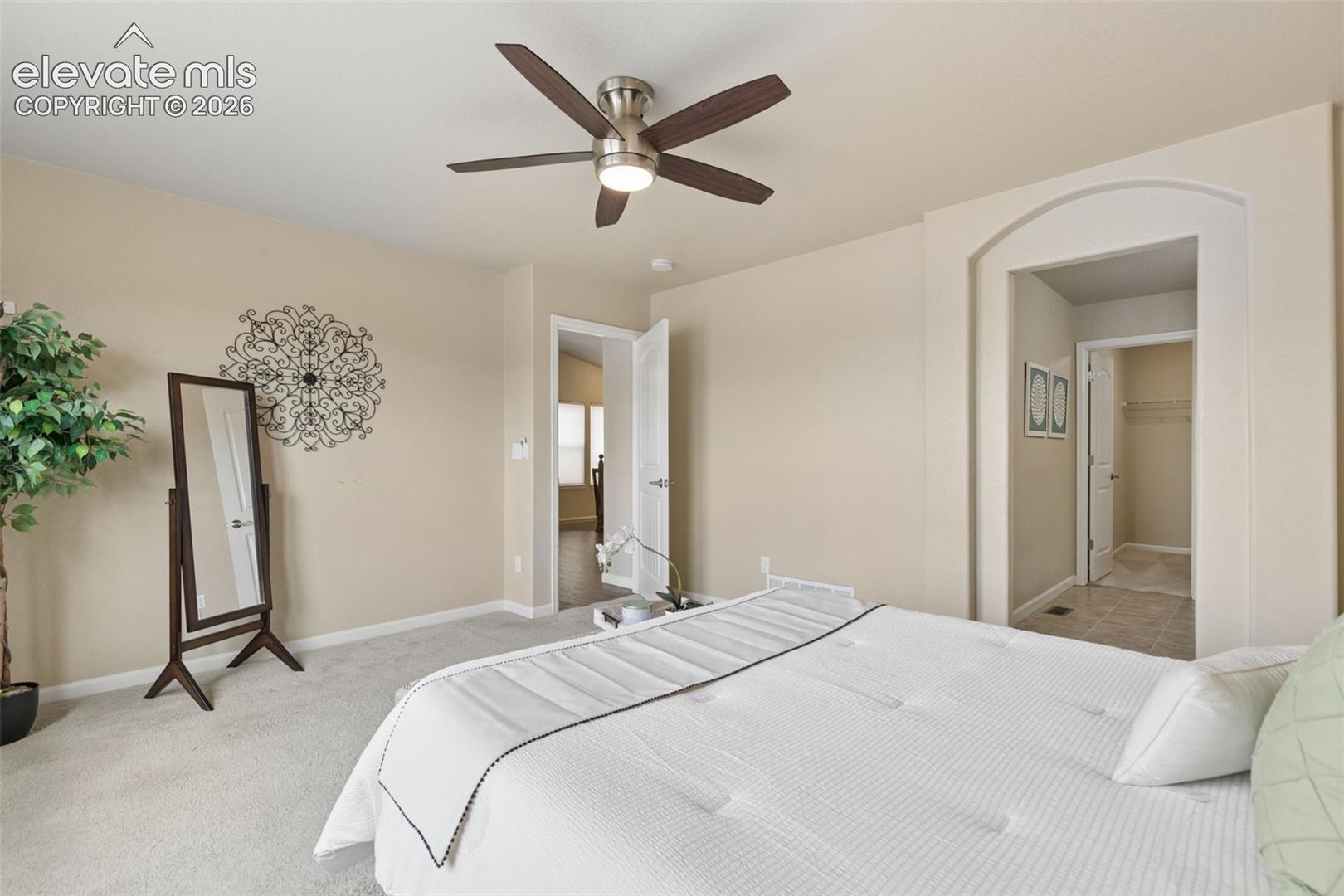 Photo 19 of 8042 Potentilla Grove, Colorado Springs