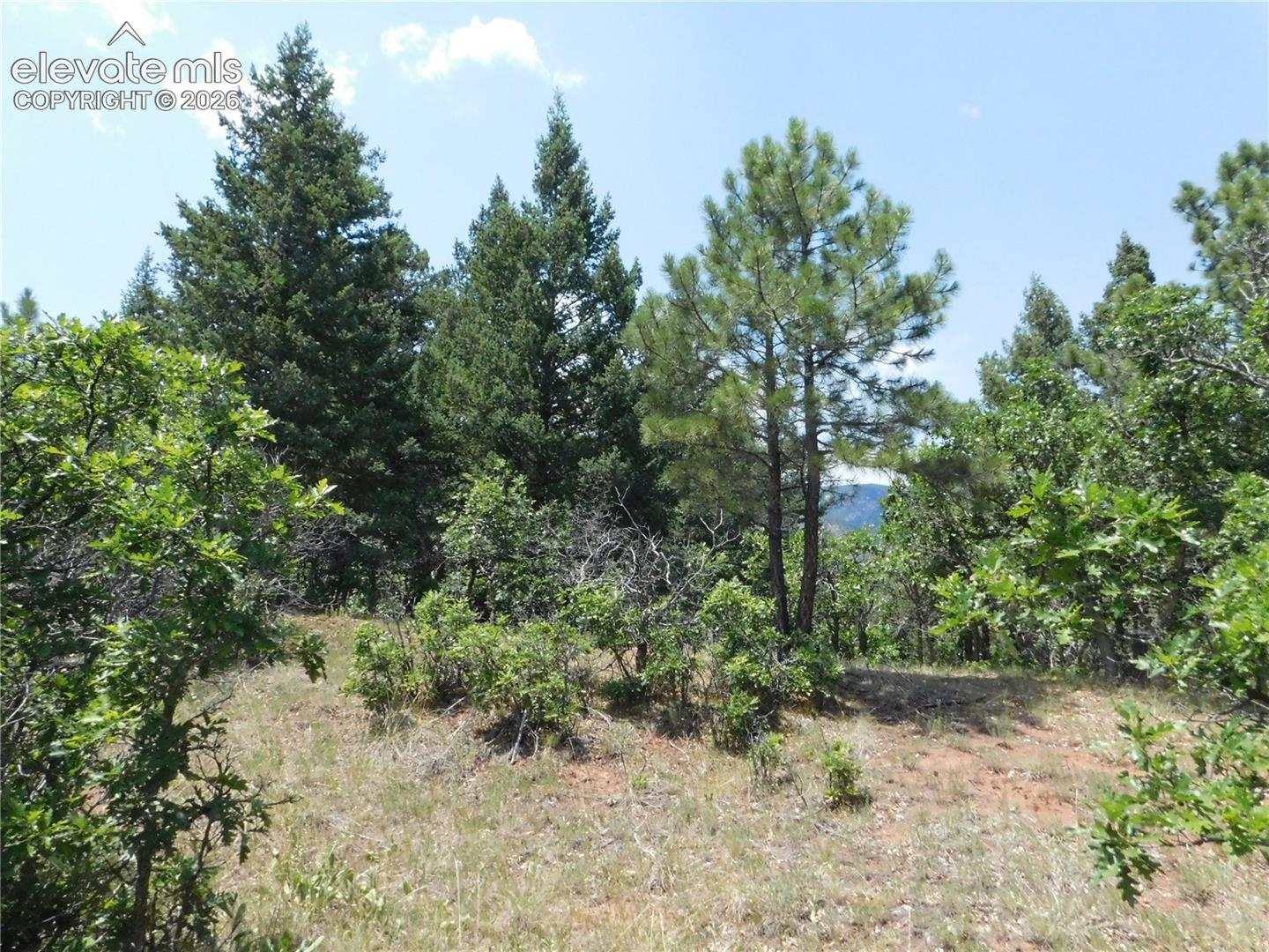 6447 Thunderbird Rd, Larkspur, CO 80118