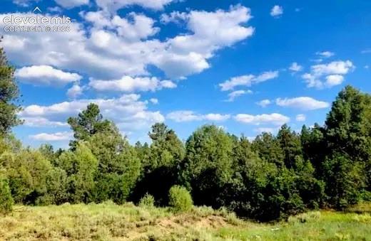 Photo 6 of 131 Retreat Court, Pagosa Springs