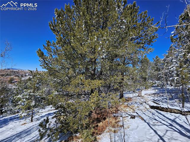 Photo 19 of 829 Princess Road, Cripple Creek
