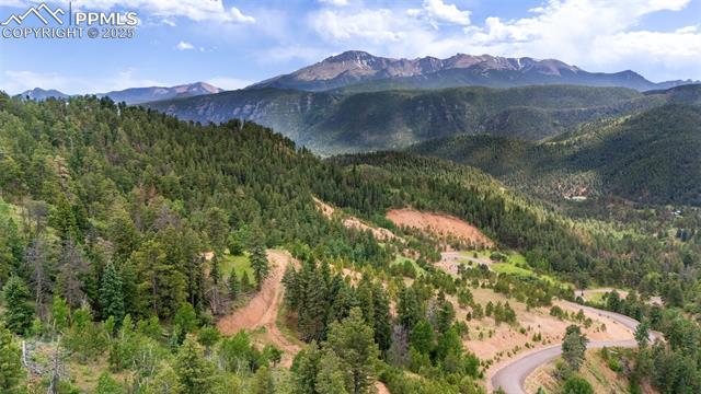 Mountain view with a forest