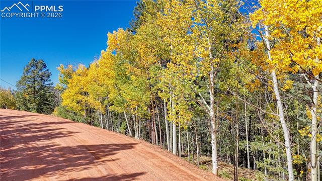 Photo 8 of 959 Calcite Drive, Divide