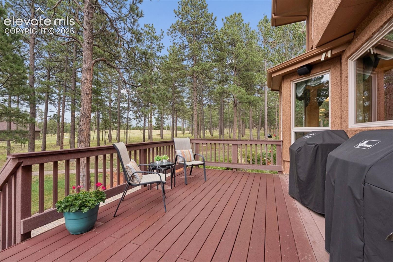 Photo 9 of 14953 Snowy Pine Point, Colorado Springs