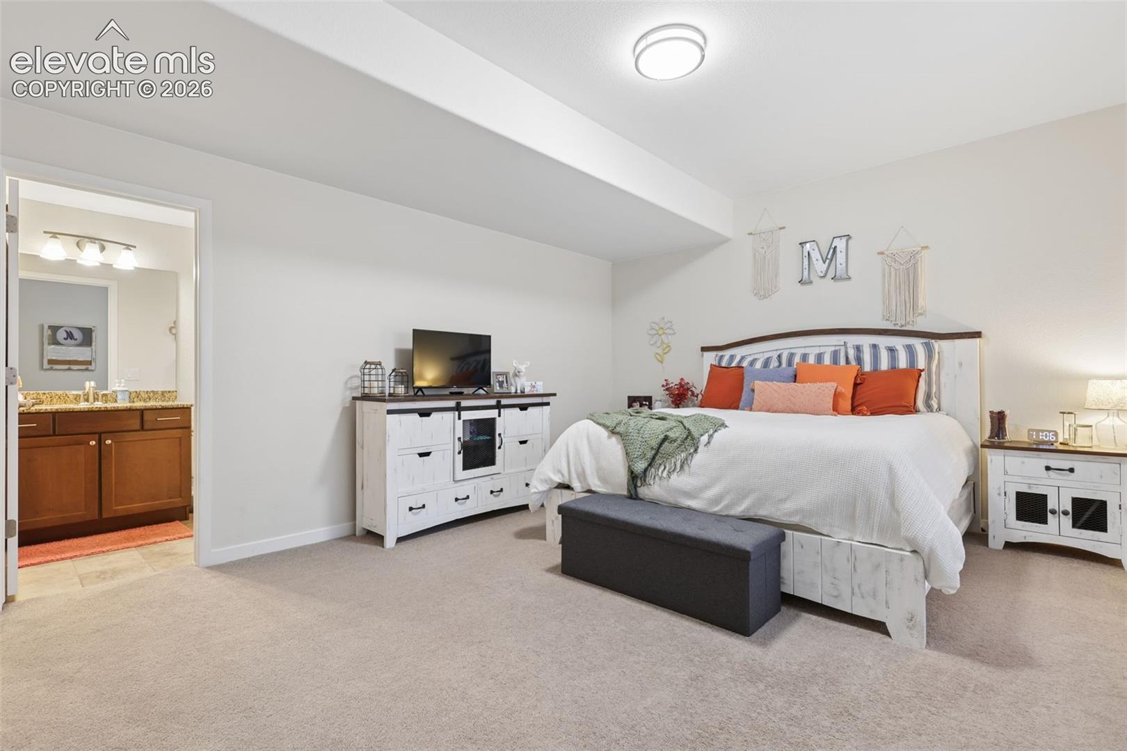 Plush carpet flooring, a built-in ceiling light, and a separate bathroom with a granite-style countertop and wood-finish cabinetry