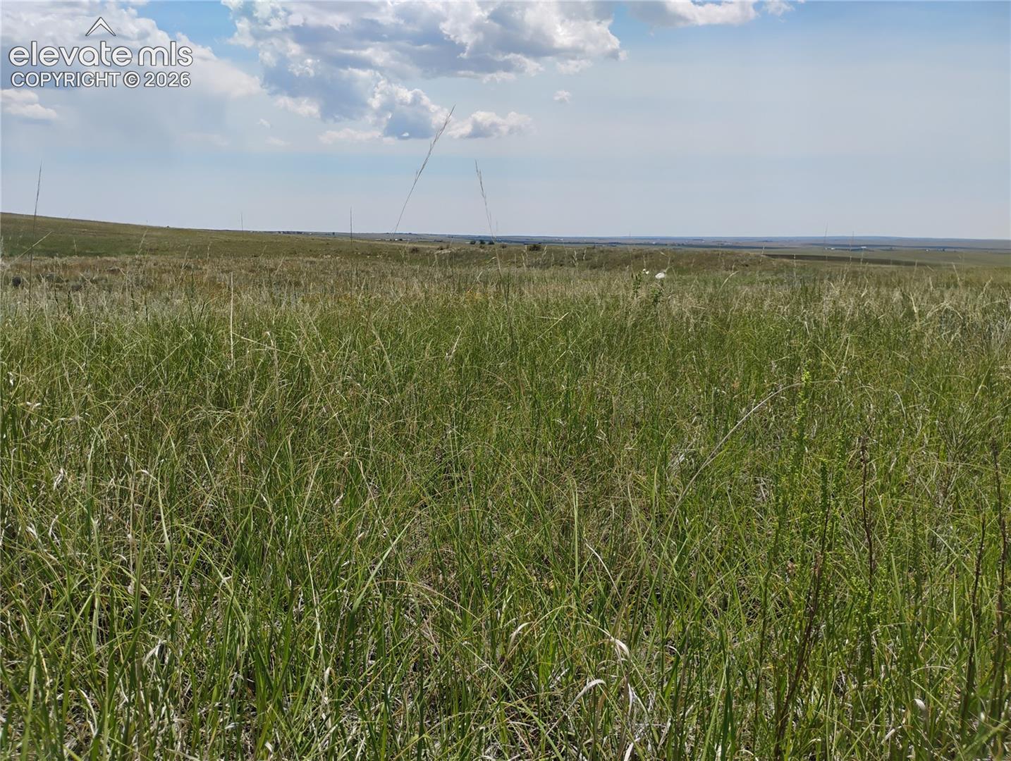 Photo 14 of 29455 Tallgrass View, Calhan