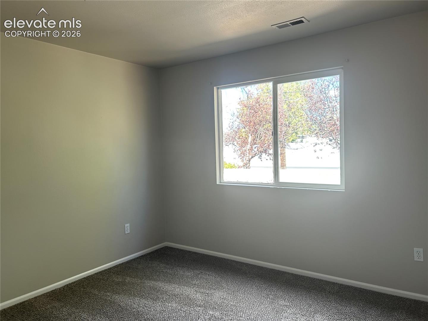 Neutral-toned interior walls, sliding window with exterior foliage, and wall-to-wall carpeting
