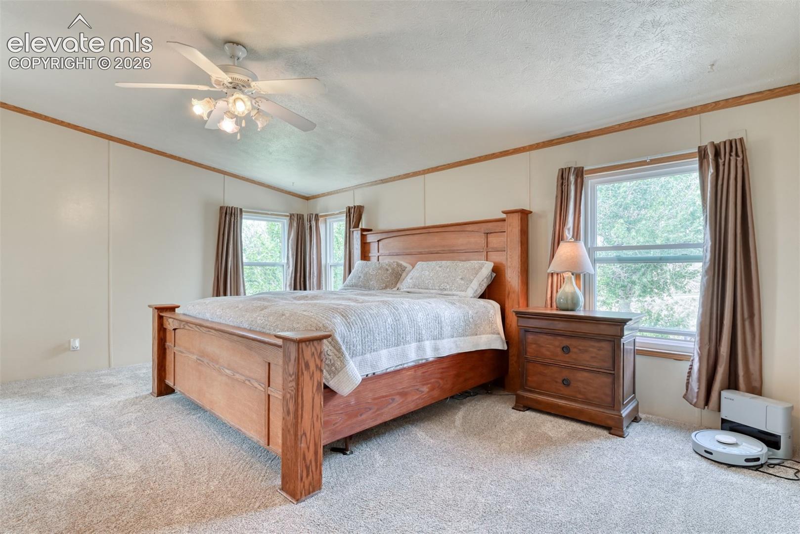 Carpeted room featuring a ceiling fan with integrated lighting, two windows, and light-toned walls with wood trim
