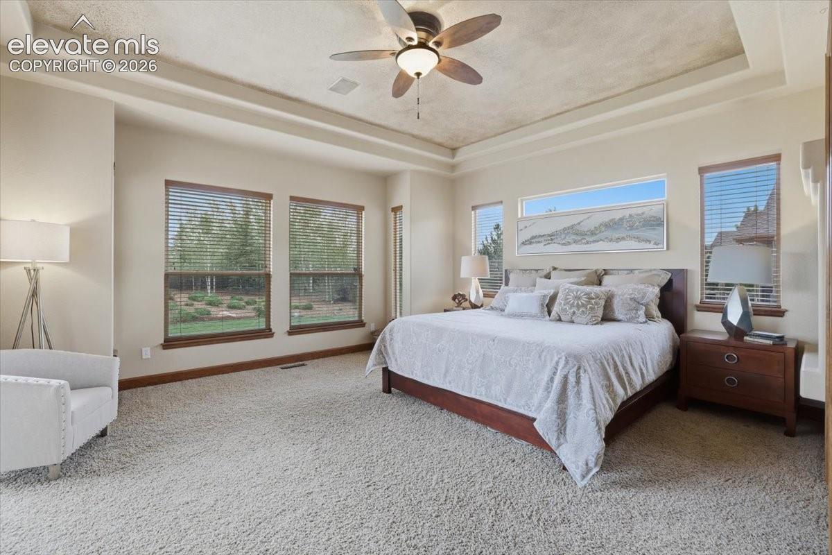 Main Level Primary Suite with Patio Access, Double-sided Gas Fireplace, Tray Ceiling, and Ensuite Bathroom!