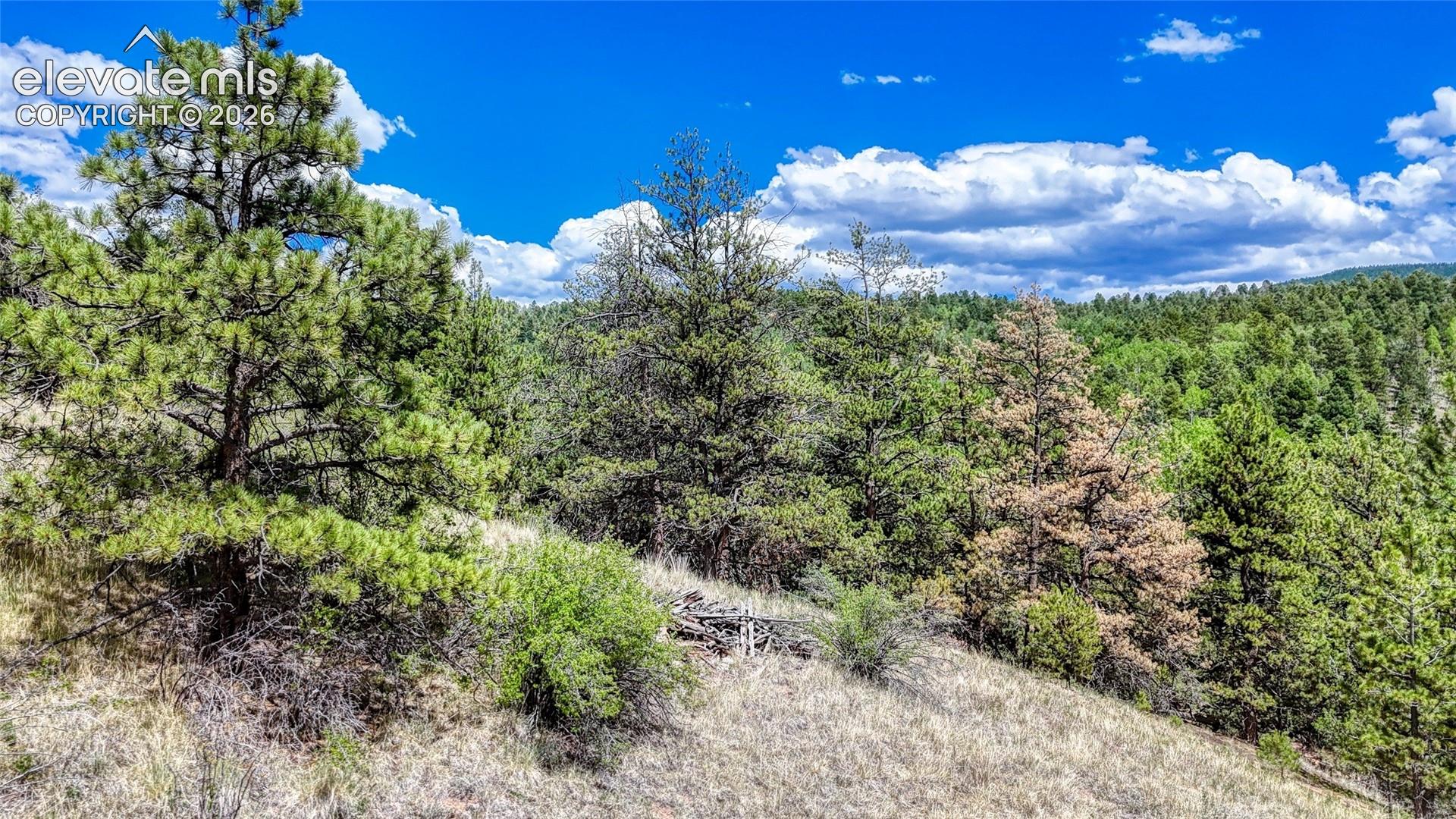 Photo 22 of 218 Princess Road, Cripple Creek