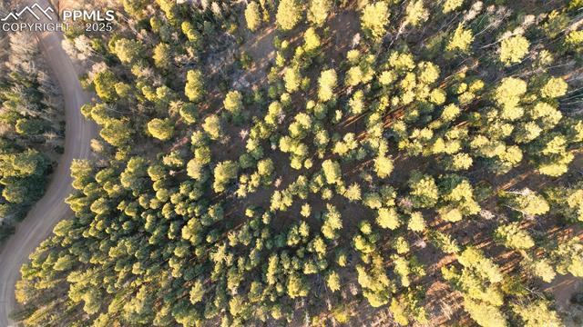Photo 14 of 1289 Yorktown Road, Cripple Creek