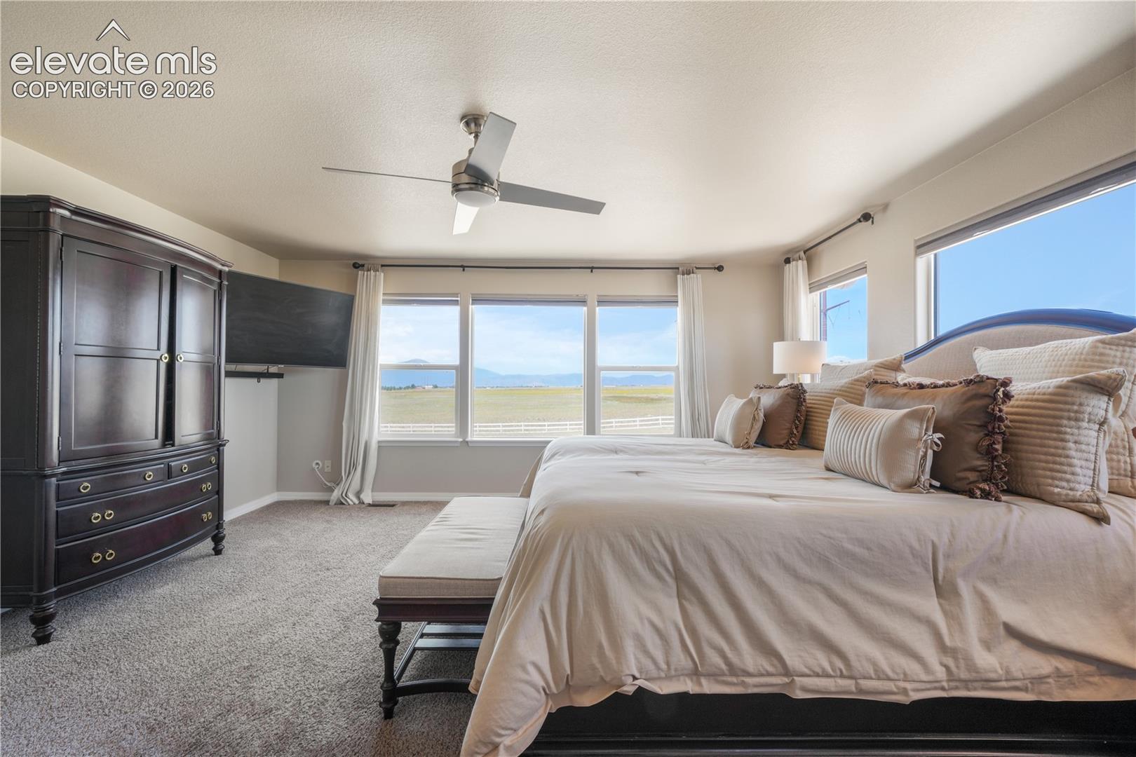 Spacious Primary Bedroom with Walk-In Closet