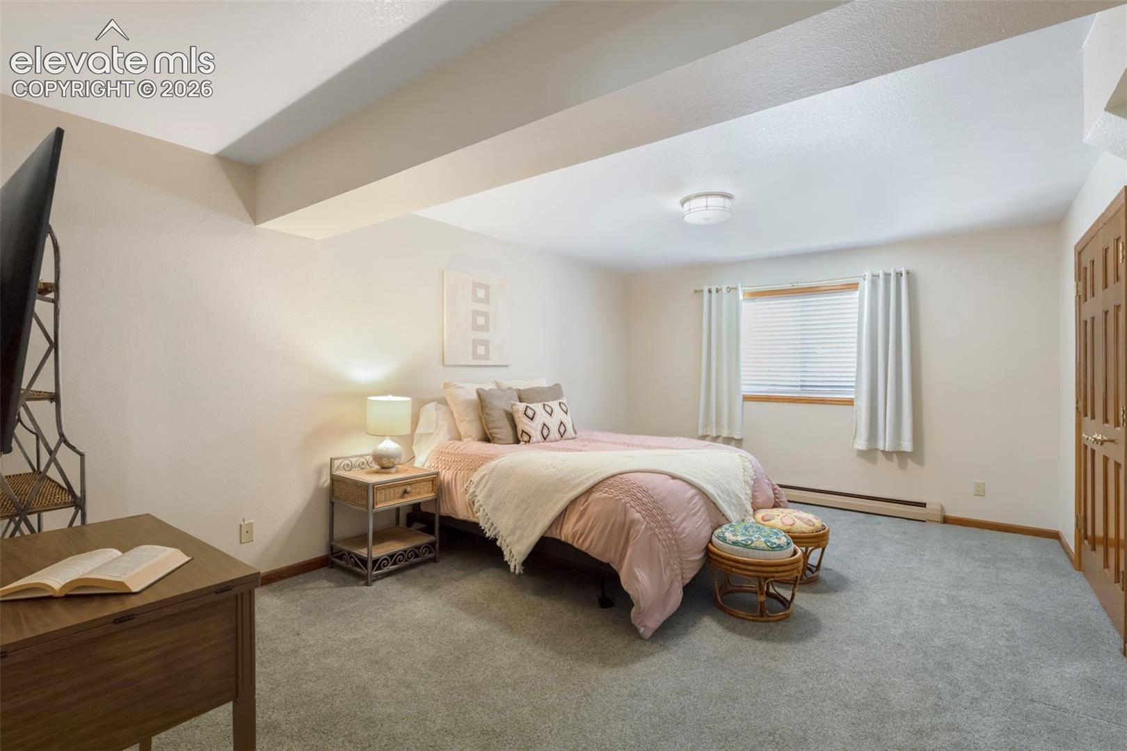 Carpeted room with a full-lite window featuring blinds and drapes, a wood-finish door, and ceiling-mounted lighting