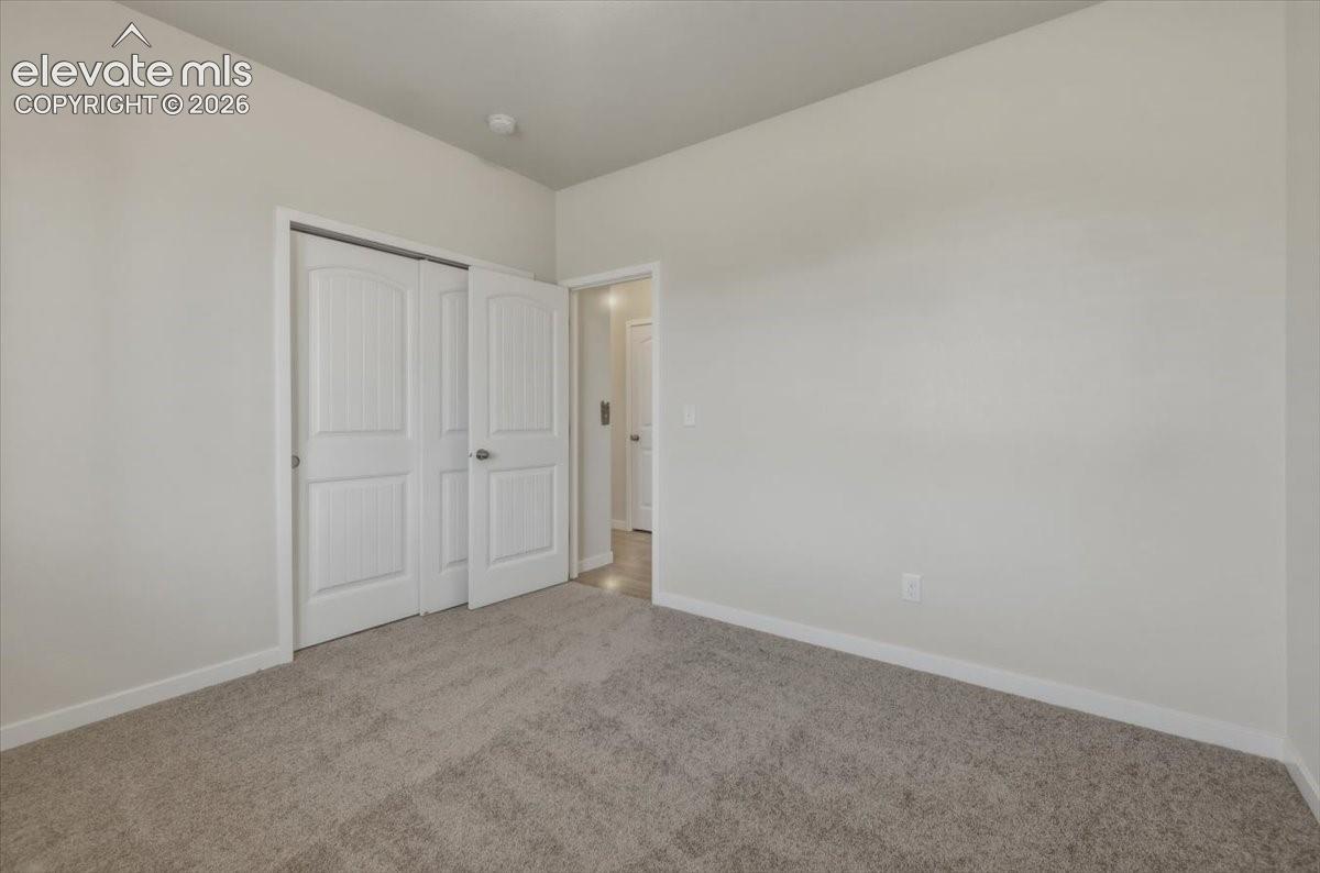Carpeted interior room featuring light-colored walls and white trim