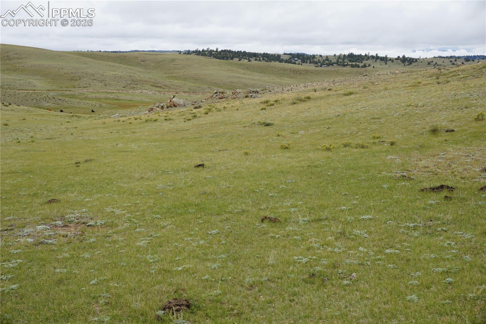 Photo 12 of LOT 16 High Drive, Hartsel