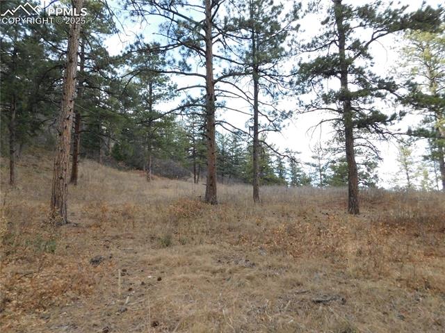 Photo 30 of 8055 Acoma Drive, Larkspur