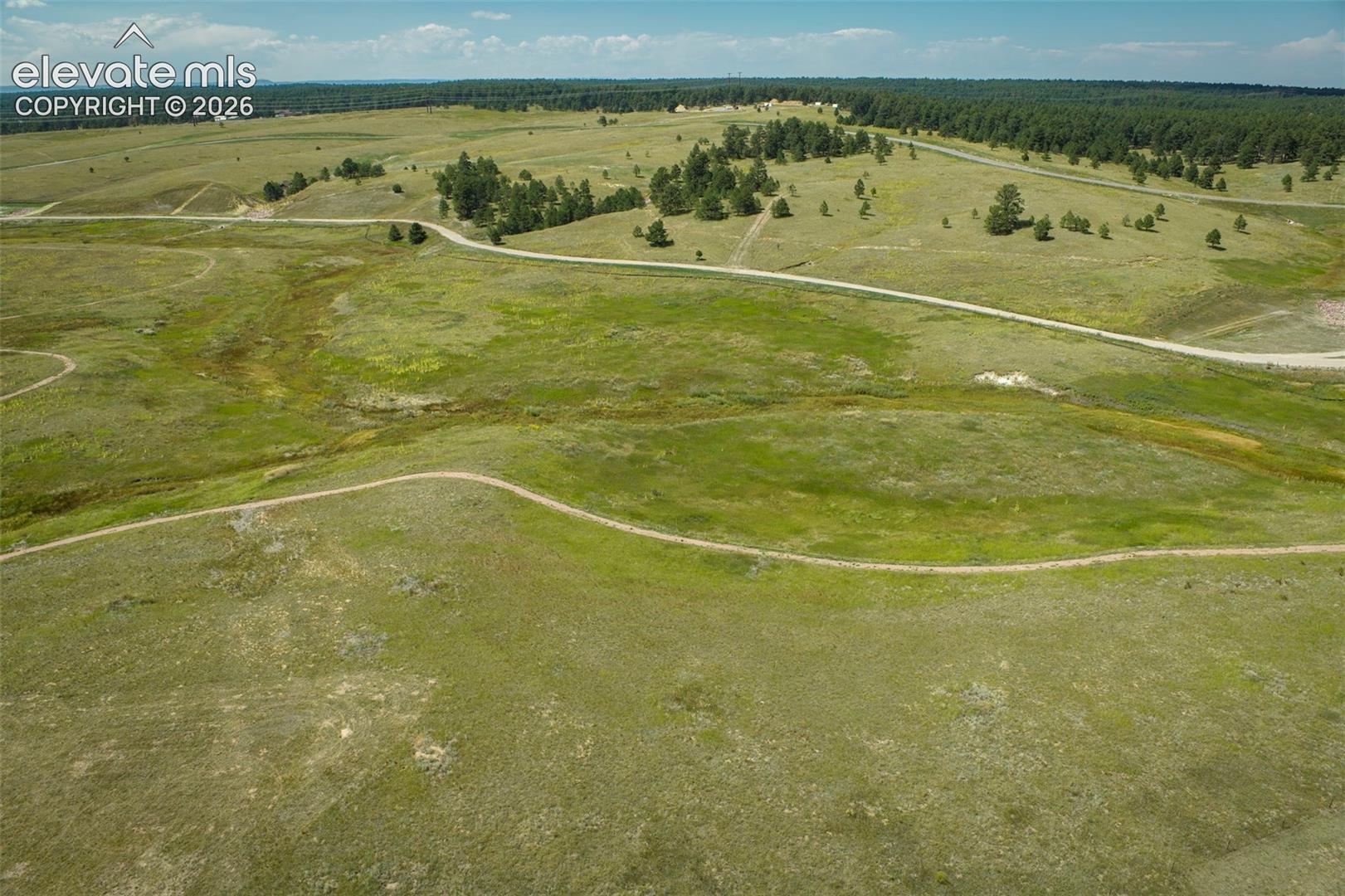 Expansive acreage featuring rolling topography, natural meadow vegetation, clusters of mature evergreen trees, and established dirt access roads
