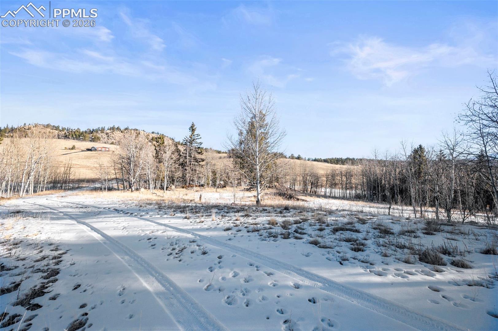 View of snowy yard