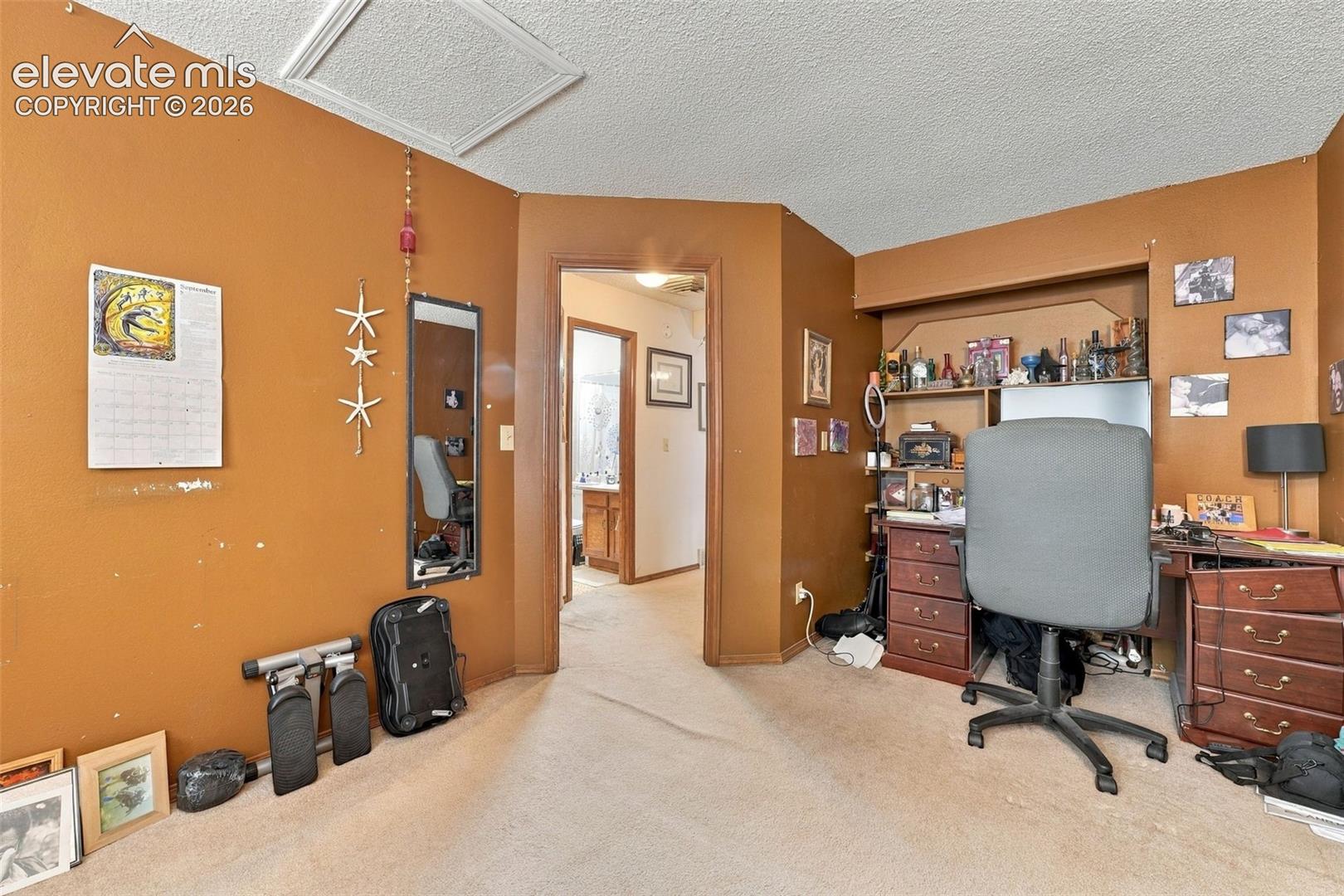Built-in wood cabinetry with shelving and carpeted flooring