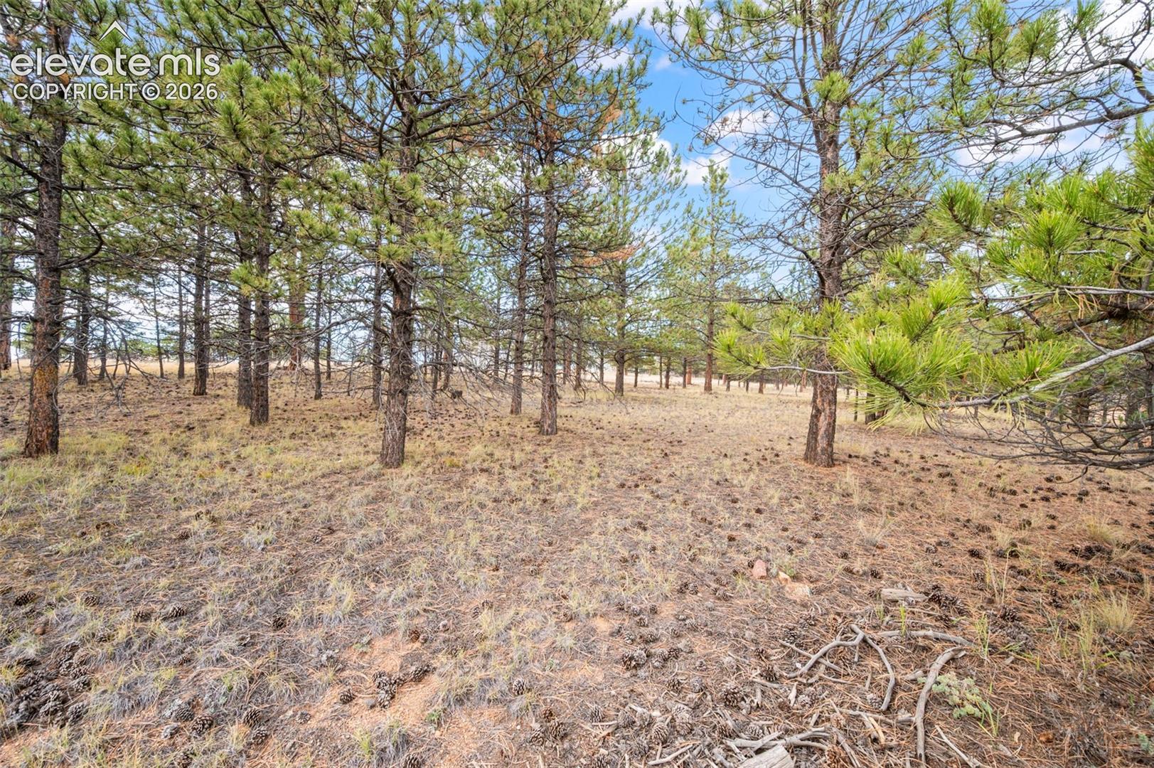 Photo 11 of 97 Cheyenne Creek Drive, Lake George