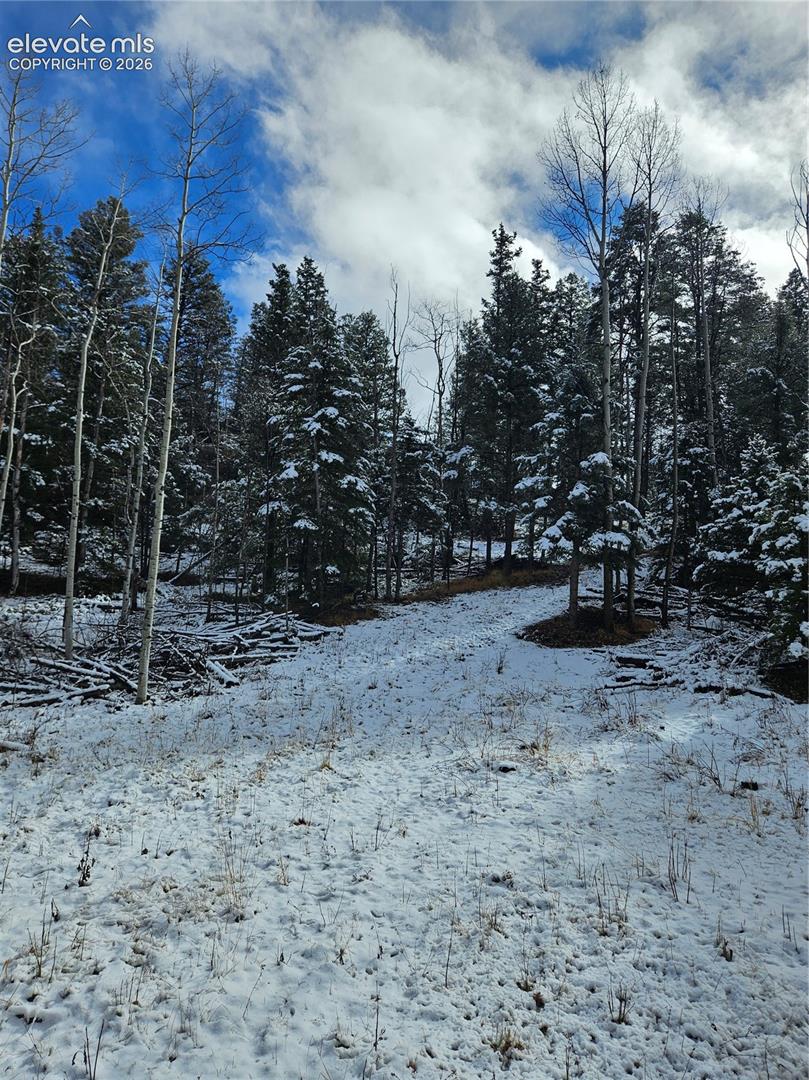 Expansive natural acreage featuring mature evergreen and aspen trees, level terrain, and a clearing
