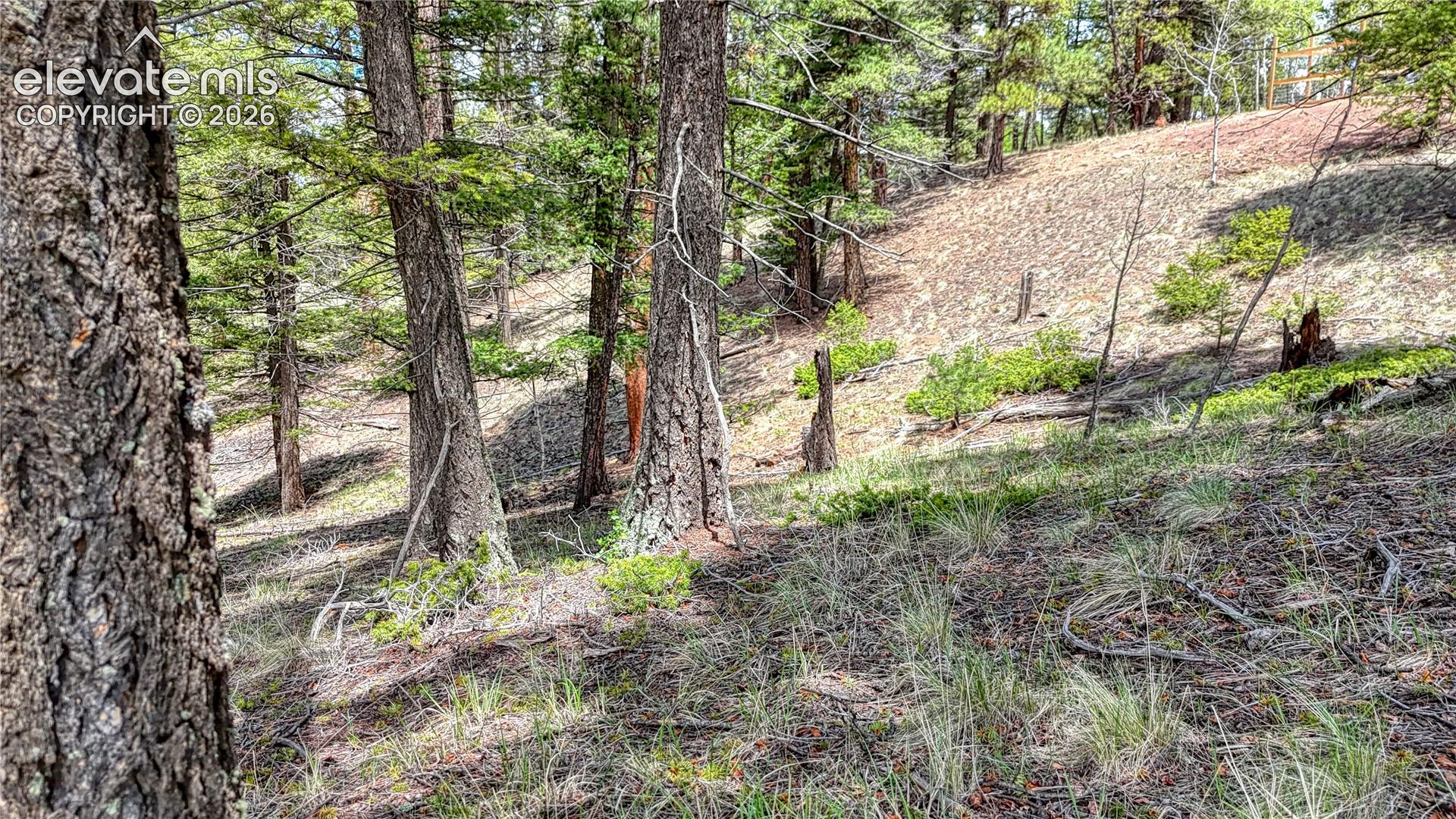 26 N Eldorado Cir, Florissant, CO 80816