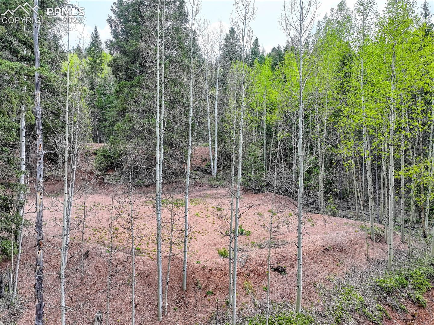 Build site already in place