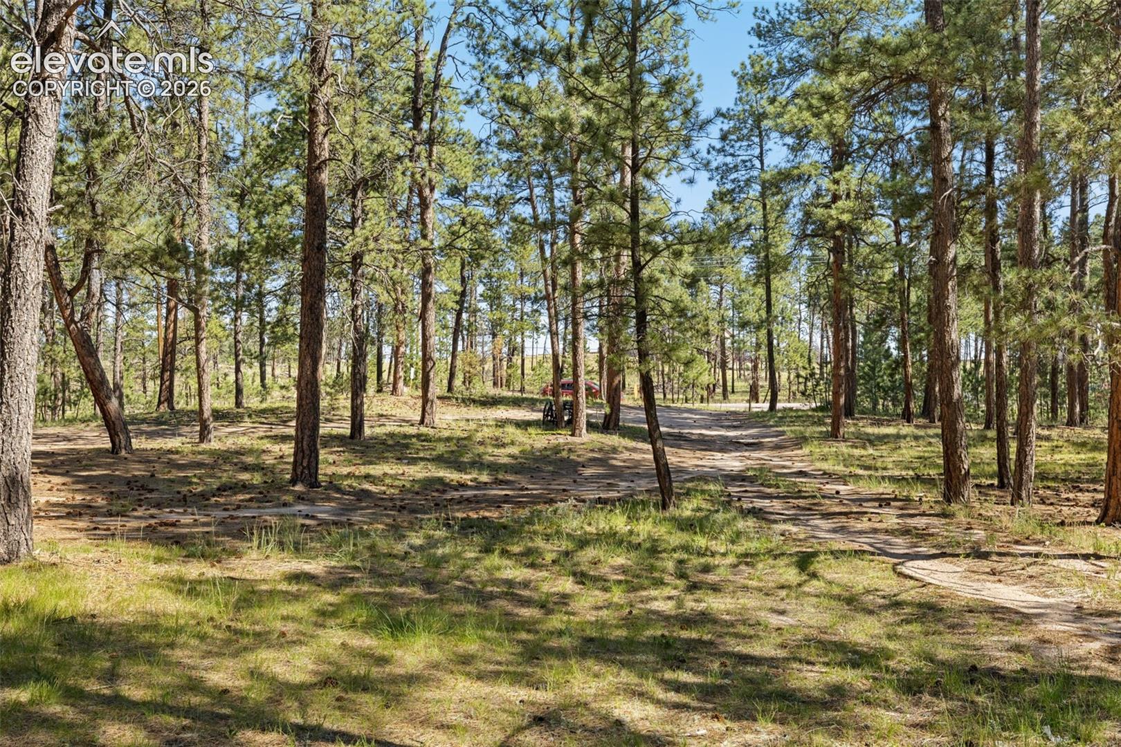 View out to driveway front. 