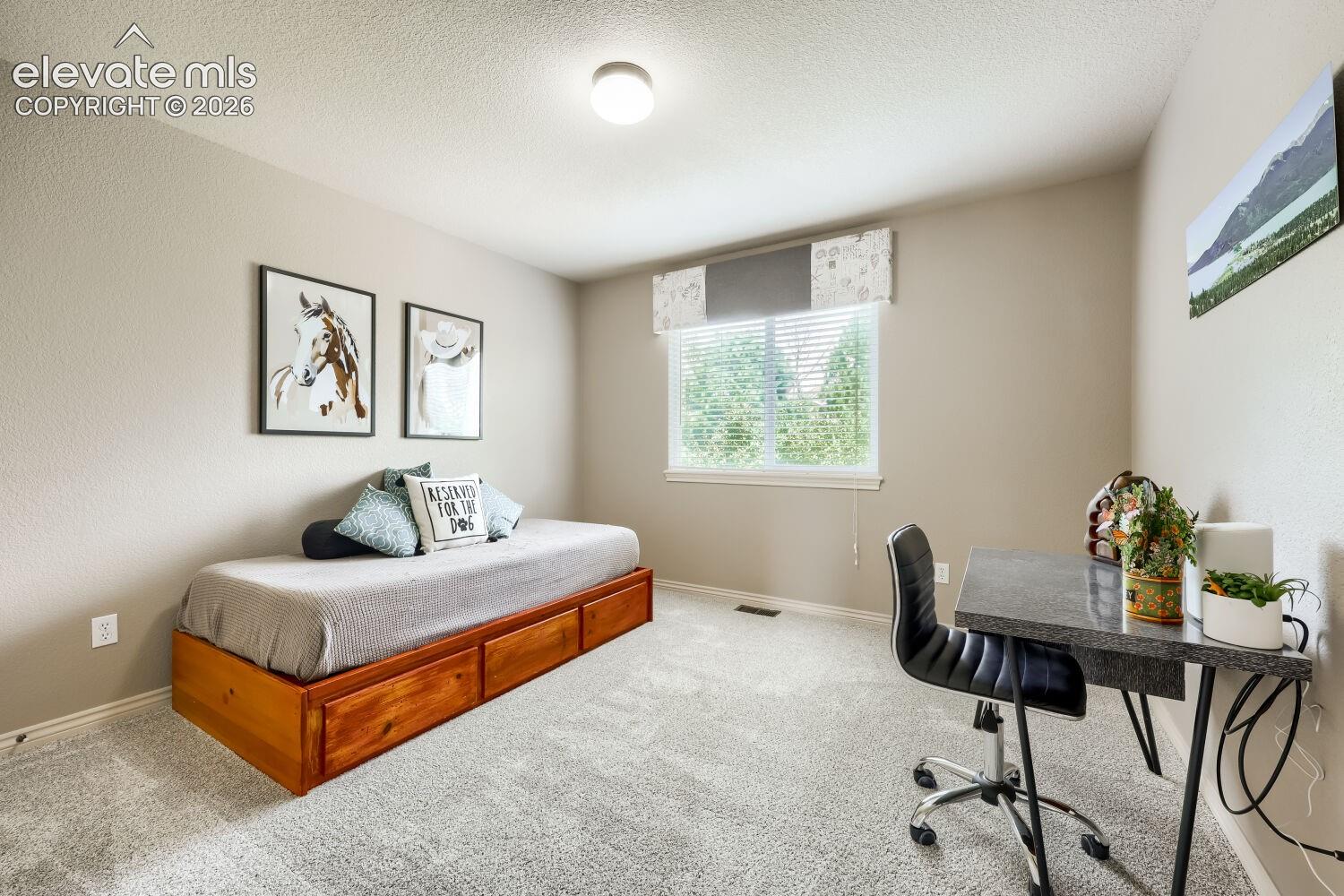 Photo 41 of 1586 Lily Lake Drive, Colorado Springs