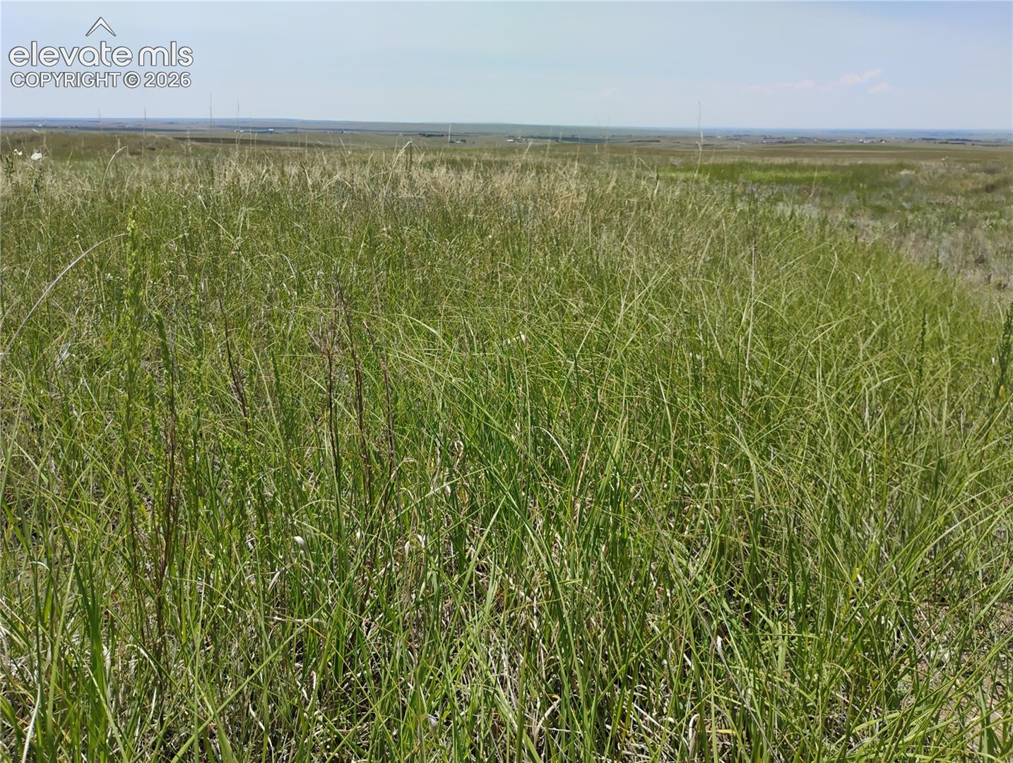 Photo 15 of 29455 Tallgrass View, Calhan