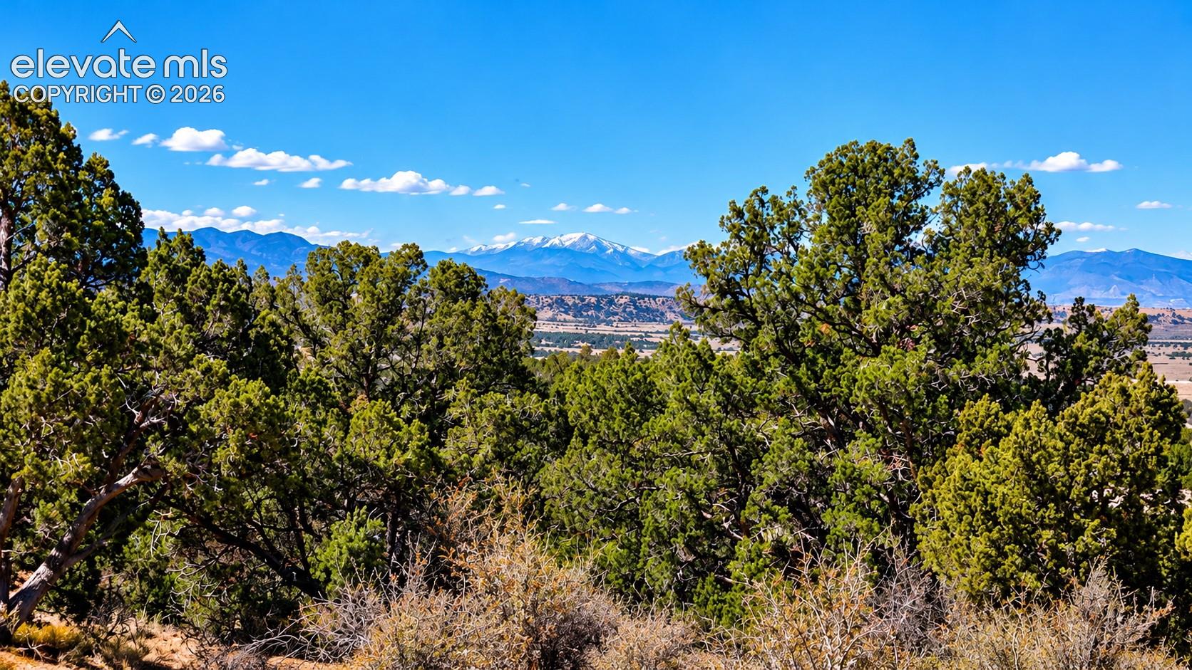 Beautiful mountain scenery framed by mature juniper trees, showcasing snow-capped peaks, rolling foothills, and expansive Colorado landscapes.

