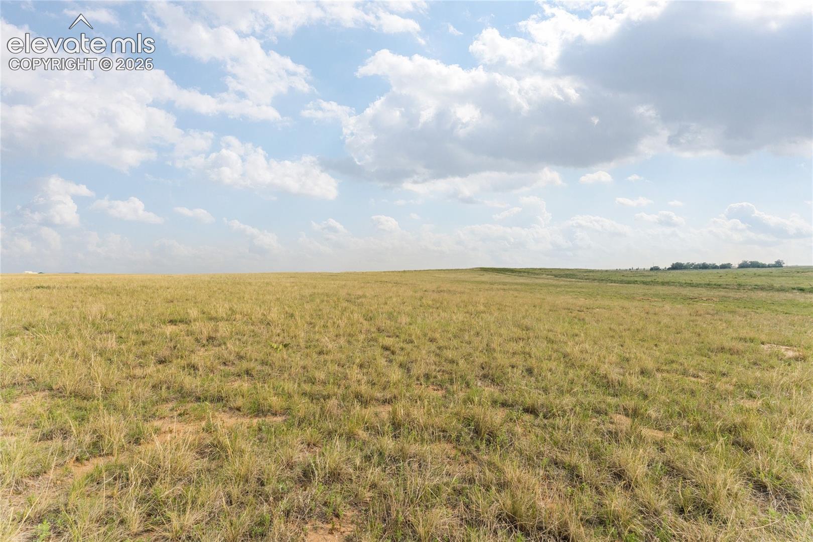 Expansive open field featuring natural grasses under a broad sky