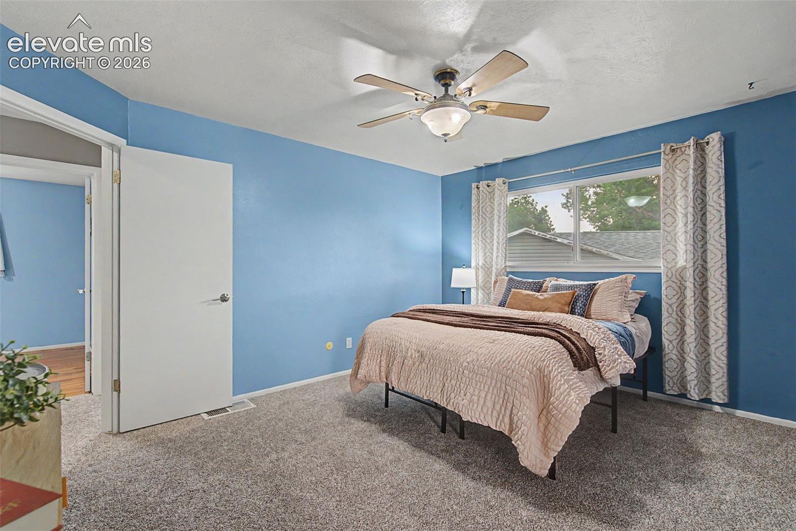 Primary Bedroom with Natural Light
