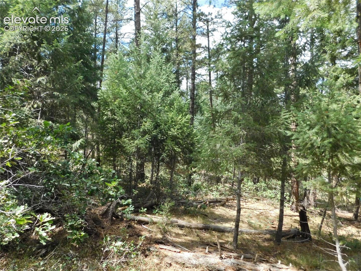 Photo 15 of 8139 Bannock Drive, Larkspur