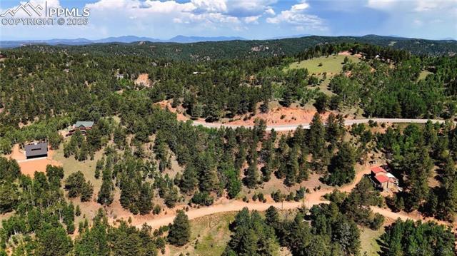 Photo 10 of 281 Pikes Peak Drive, Divide
