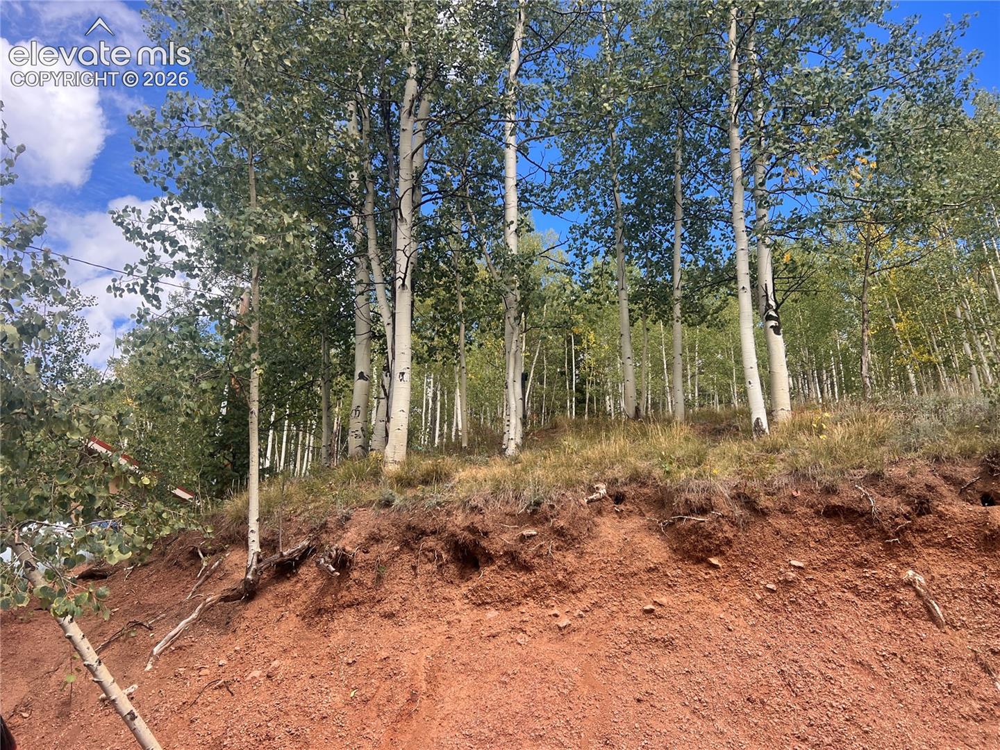 Photo 8 of 64 Grey Eagle Way, Cripple Creek