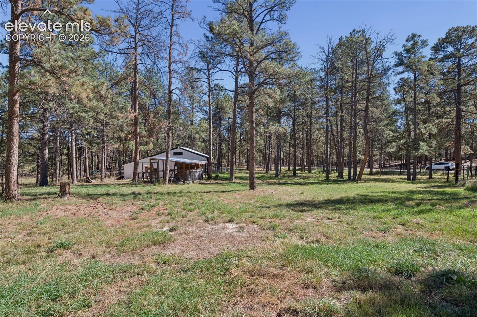Great meadow for animals