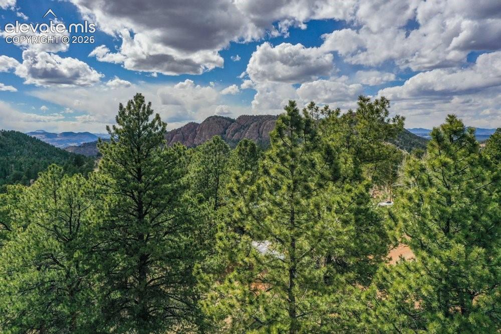 View of mountain feature with a view of trees