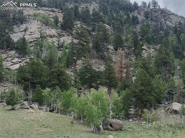 View of local wilderness