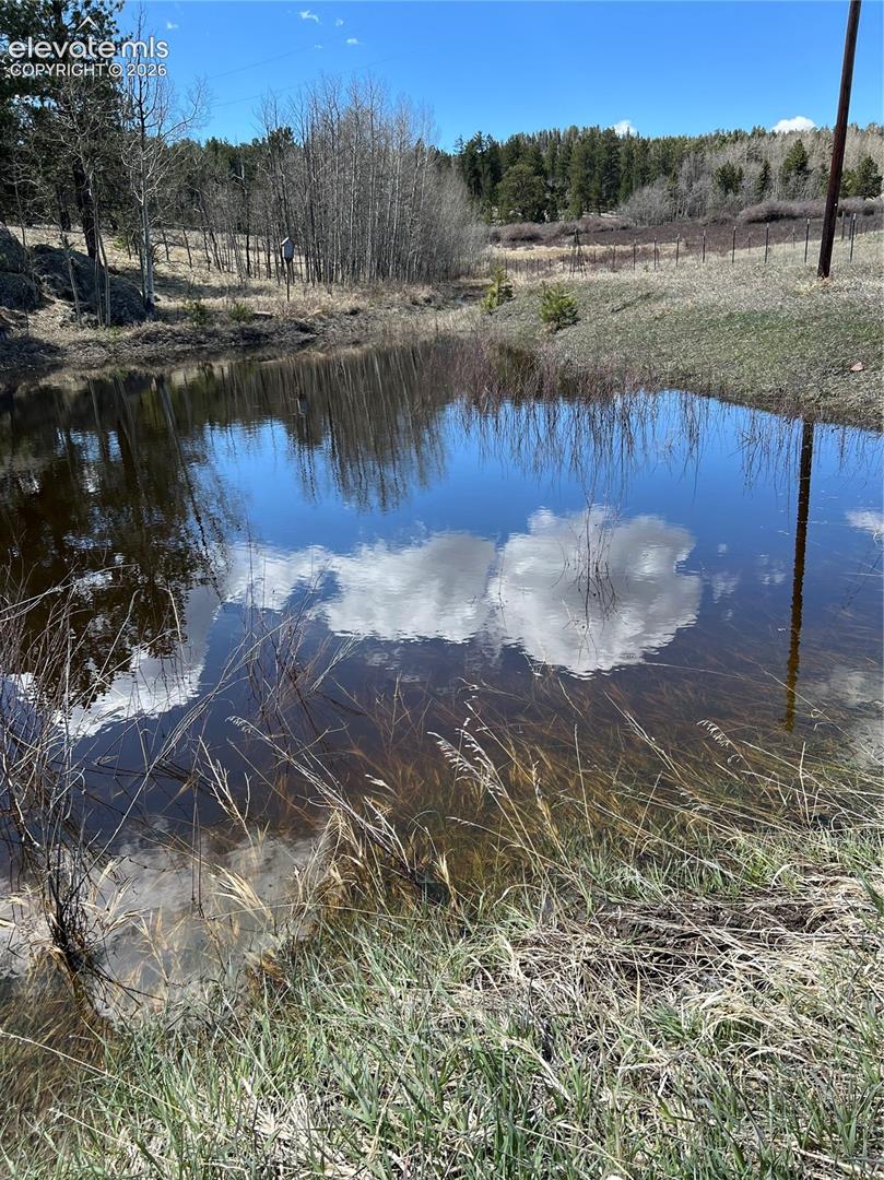 Seasonal pond