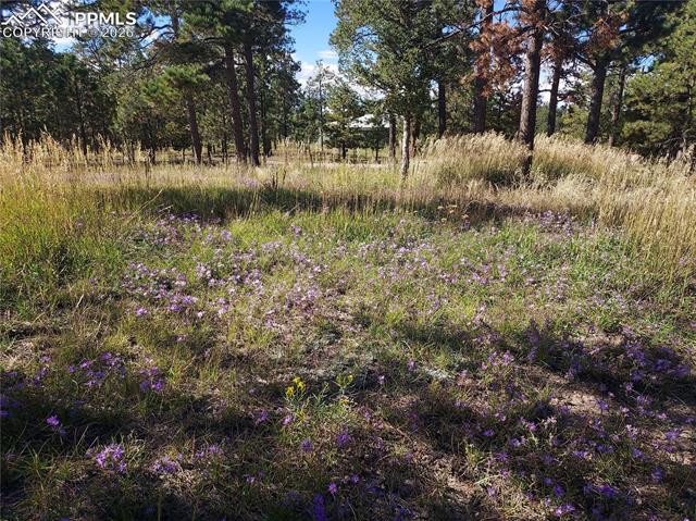 13395 Frank Rd, Colorado Springs, CO 80908