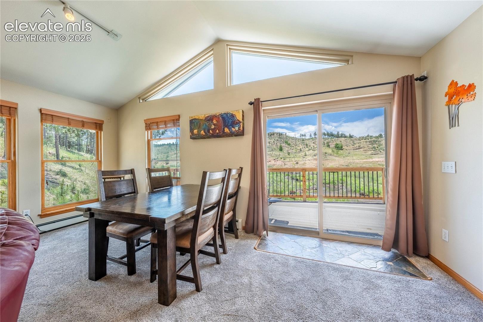 Photo 19 of 15970 Willow Way, Woodland Park
