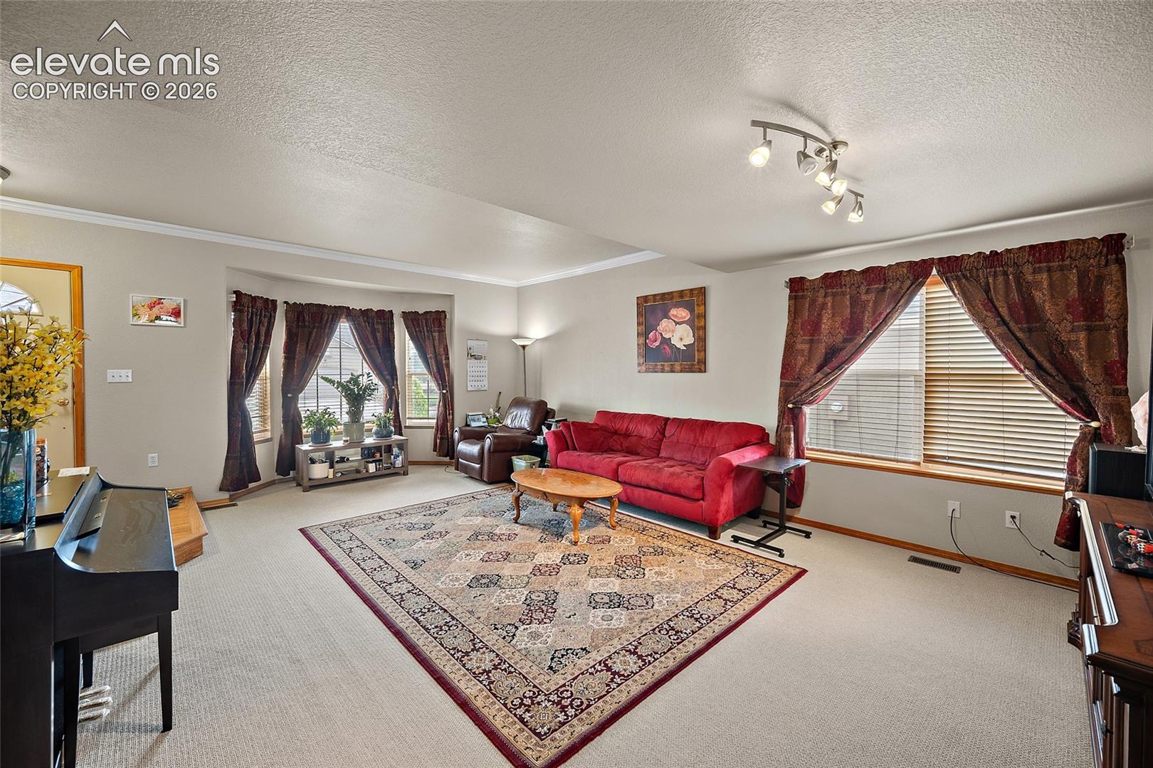 Photo 6 of 4866 Savannah Hawk Drive, Colorado Springs