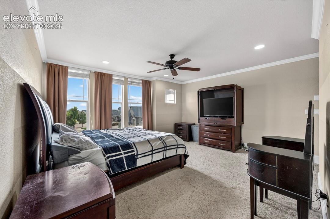 Photo 25 of 6660 Big Leaf Lane, Colorado Springs
