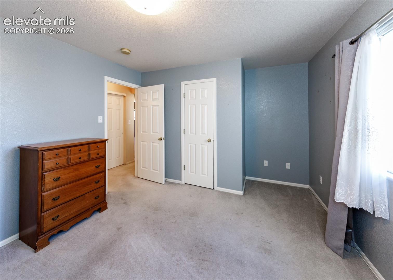 Interior room featuring neutral-toned carpeting, two interior doors with panel detailing, and a flush-mount ceiling light fixture