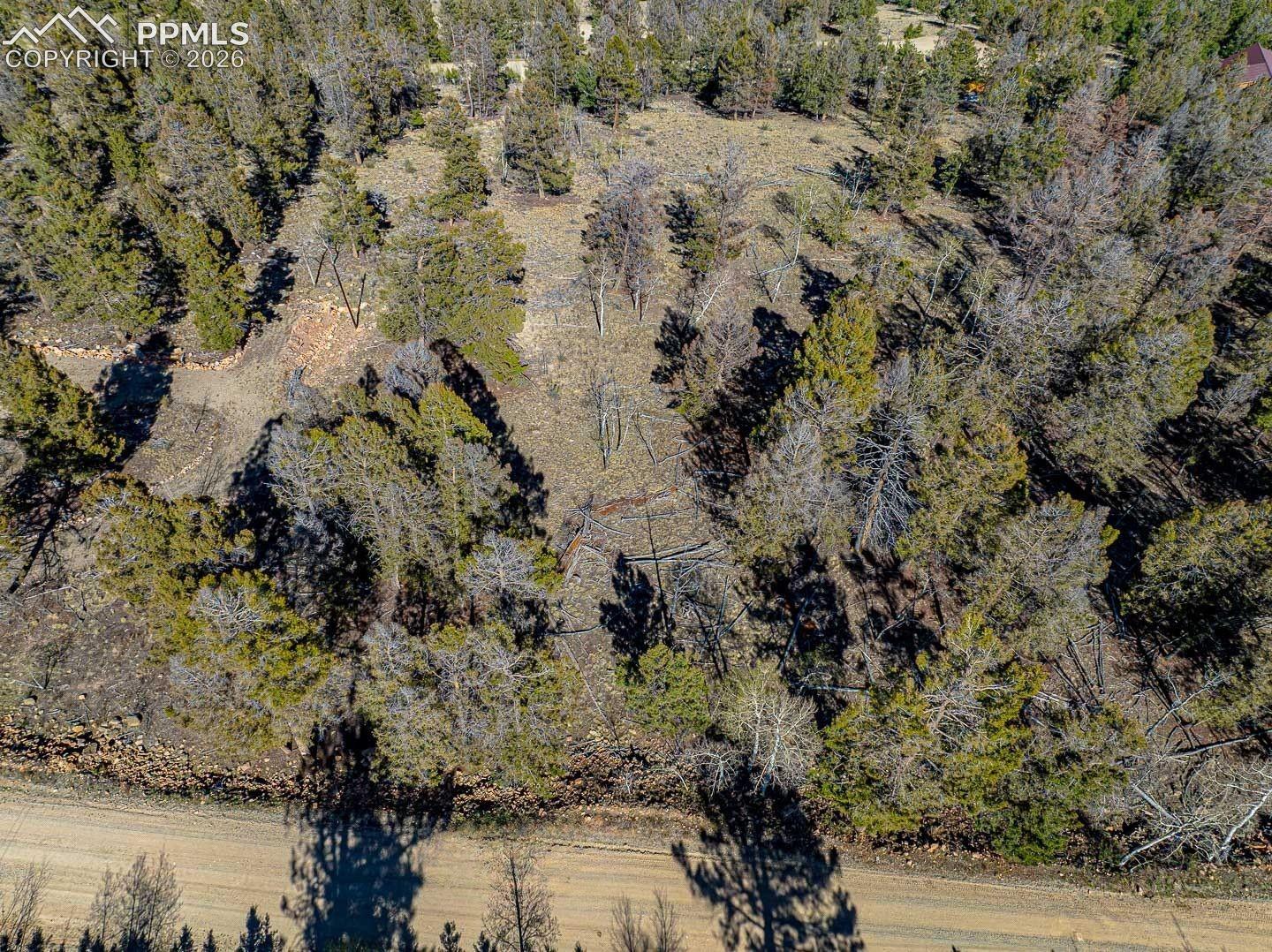 Photo 7 of 5302 Middle Fork Vista, Fairplay