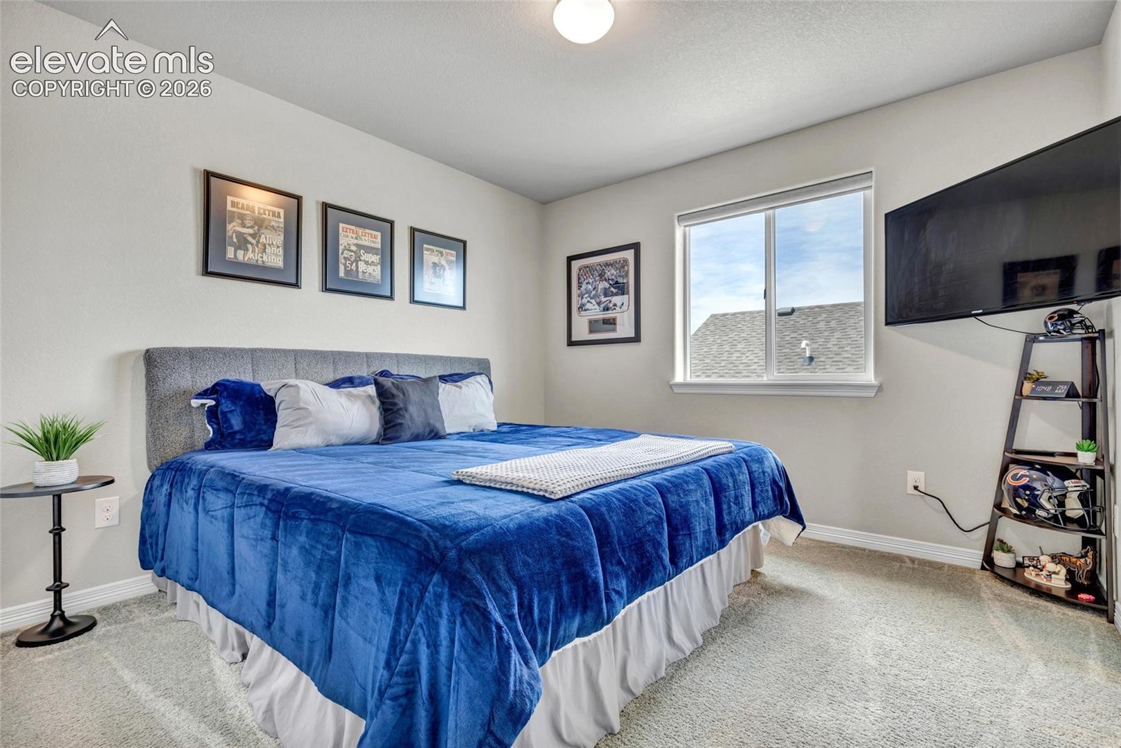 Photo 25 of 10778 Matta Drive, Colorado Springs