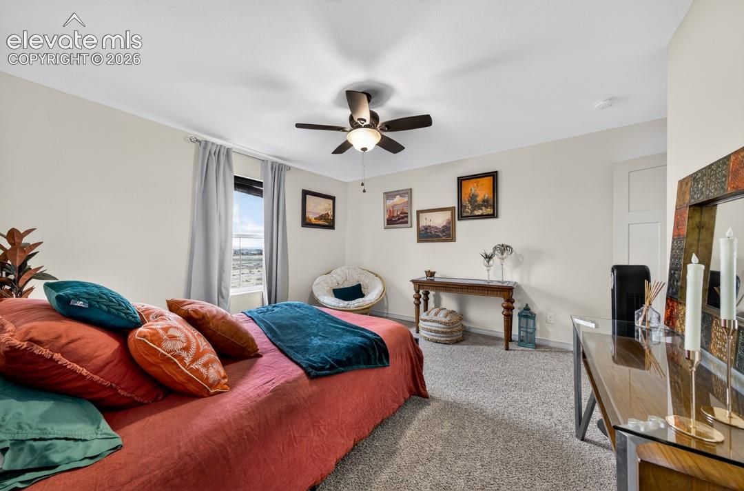 New carpet, ceiling fan, walk-in closet
